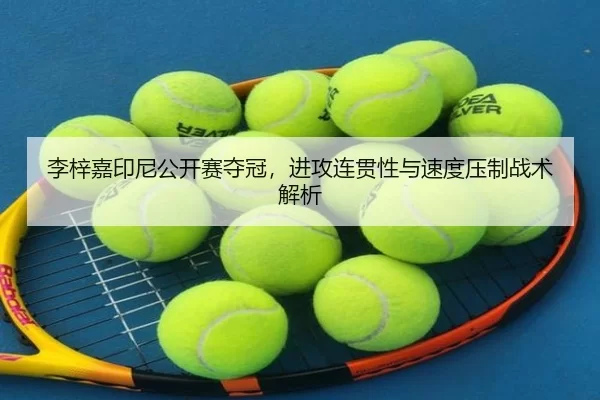 li-zi-jia-yin-ni-gong-kai-sai-duo-guan-jin-gong-lian-guan-xing-yu-su-du-ya-zhi-zhan-shu-jie-xi-2-307.jpg