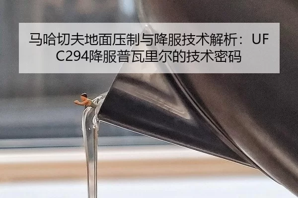 ma-ha-qie-fu-di-mian-ya-zhi-yu-xiang-fu-ji-shu-jie-xi-xiang-fu-pu-wa-li-er-de-ji-shu-mi-ma-3-758.jpg